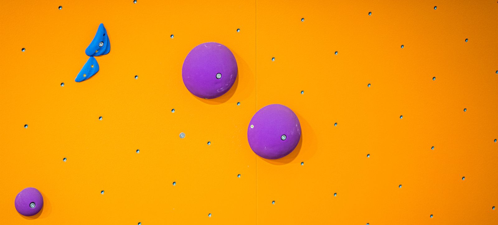 A close up of coloured climbing holds on an orange wall