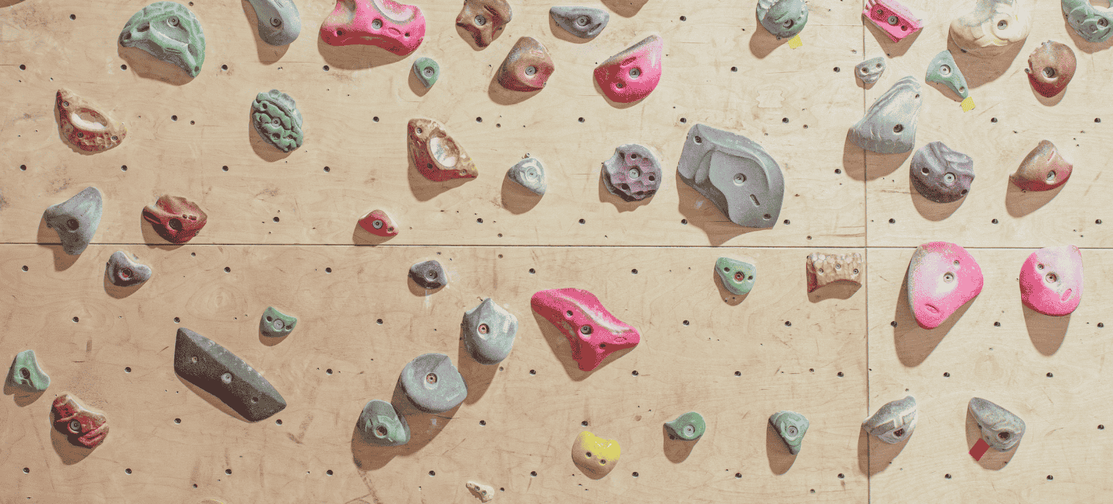 Holds on a spray wall - training board.